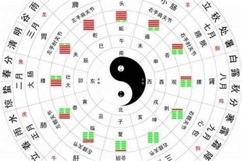 看命|生辰八字算命、五行喜用神查询（免费测算）